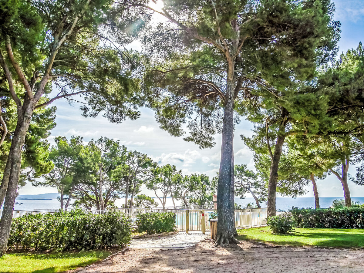 Studio 28 m² Bandol, terrasse avec vue mer - Photo 19