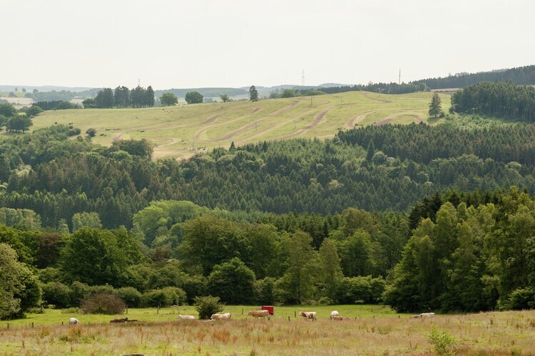 La Fausse Épine, gîte 4 chambres en bordure de forêt - Photo 23