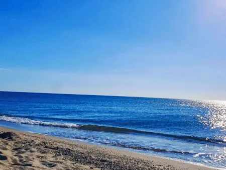 Maison Les Aloès à Sainte-Marie-la-Mer, piscine à 500 m de la plage - Photo 31