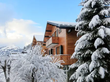 Chalet Fer à Cheval, 3 chambres vue montagne à Châtel - Photo 1