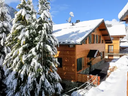 Chalet Fer à Cheval, 3 chambres vue montagne à Châtel - Photo 27