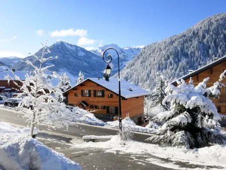 Chalet Fer à Cheval, 3 chambres vue montagne à Châtel - Photo 28