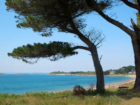 Les Hortensias – Maison 3 chambres à 600 m de la mer - Photo 26