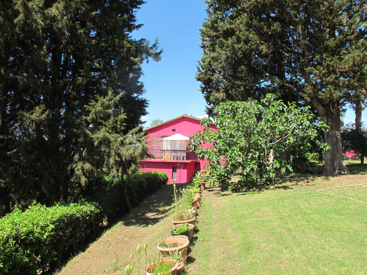 Podere Conte Francesco-Alvino, maison 6 pers. Certaldo - Photo 32