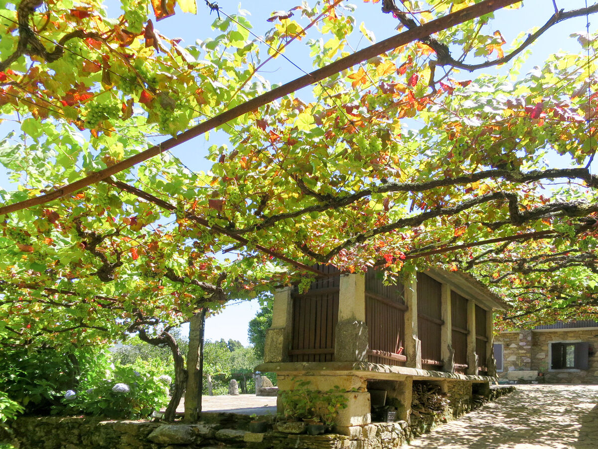 Senhor do Socorro, maison rustique à Caminha - Photo 17