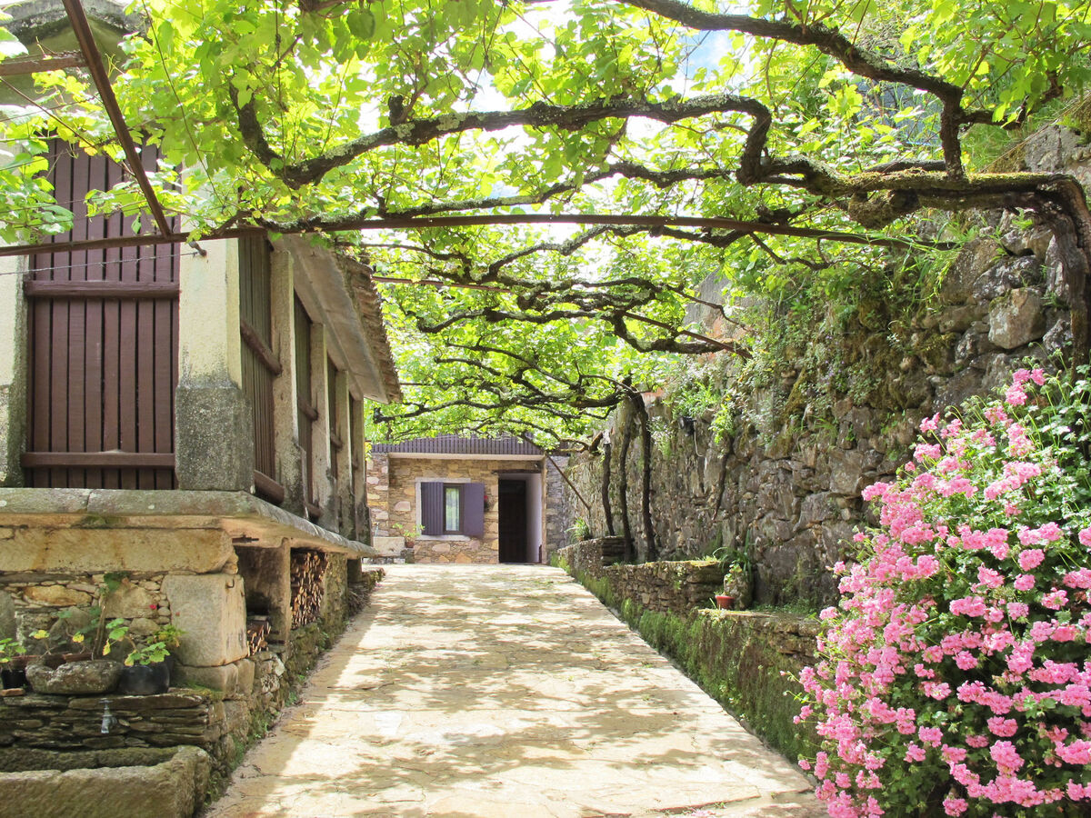 Senhor do Socorro, maison rustique à Caminha - Photo 19