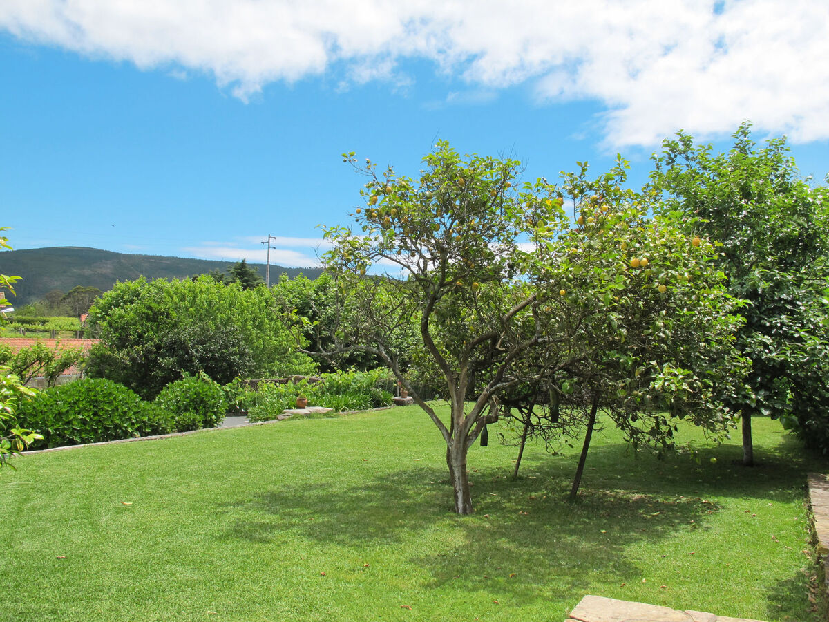 Senhor do Socorro, maison rustique à Caminha - Photo 26