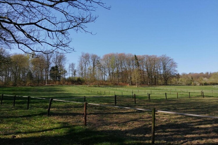 Maison Petit pré à Ferrières, Ardennes - Photo 30