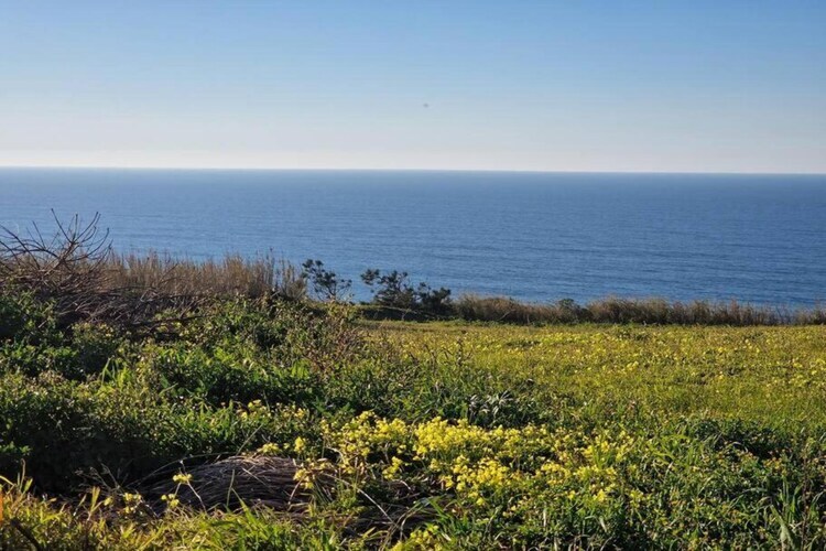 Villa Cabana : vue océan sur falaise à Caldas da Rainha - Photo 36
