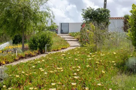 Villa Cabana : vue océan sur falaise à Caldas da Rainha : photo 25