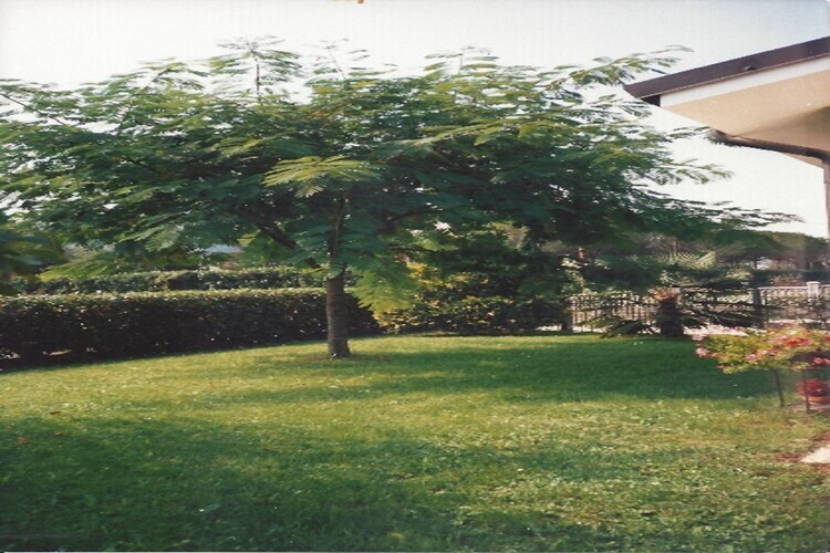 Casa Travesio, villa de montagne 6 pers. animaux acceptés - Photo 29