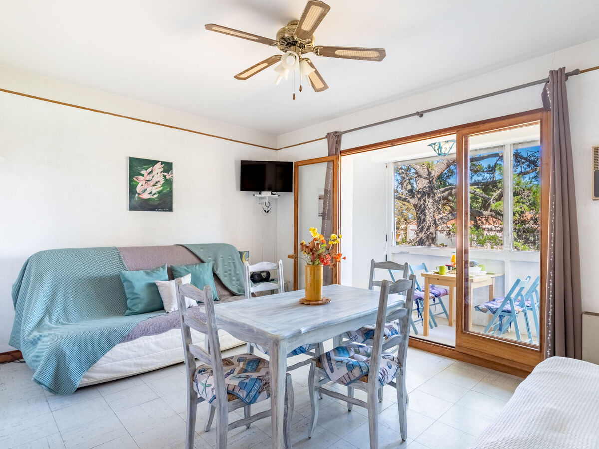 Studio 33 m² à Bormes-les-Mimosas, 500 m de la mer - Photo 4