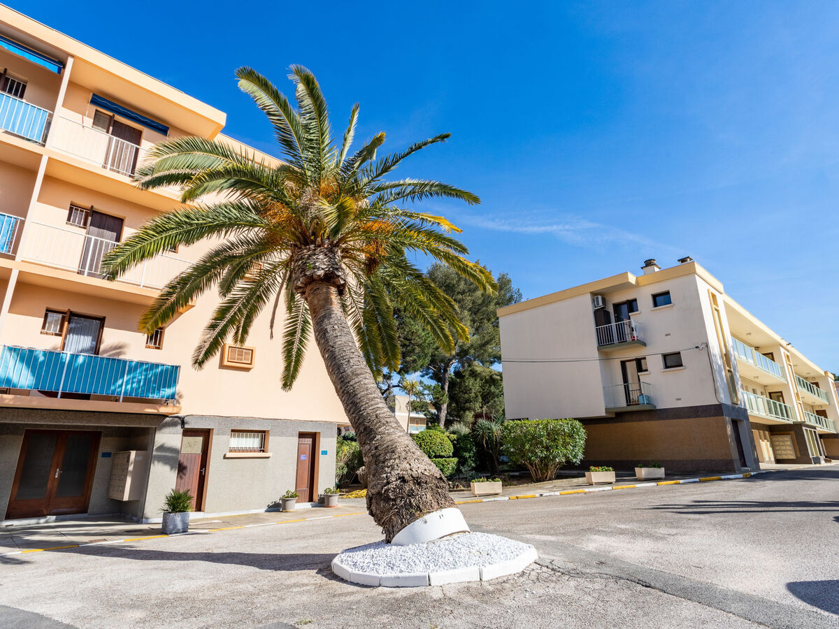 Studio 33 m² à Bormes-les-Mimosas, 500 m de la mer - Photo 12