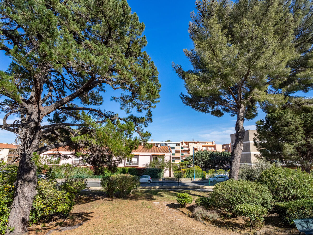 Studio 33 m² à Bormes-les-Mimosas, 500 m de la mer - Photo 13