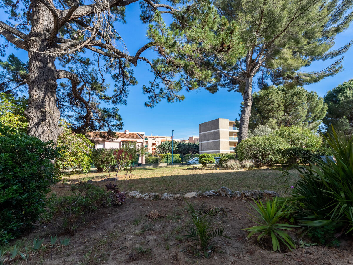 Studio 33 m² à Bormes-les-Mimosas, 500 m de la mer - Photo 14