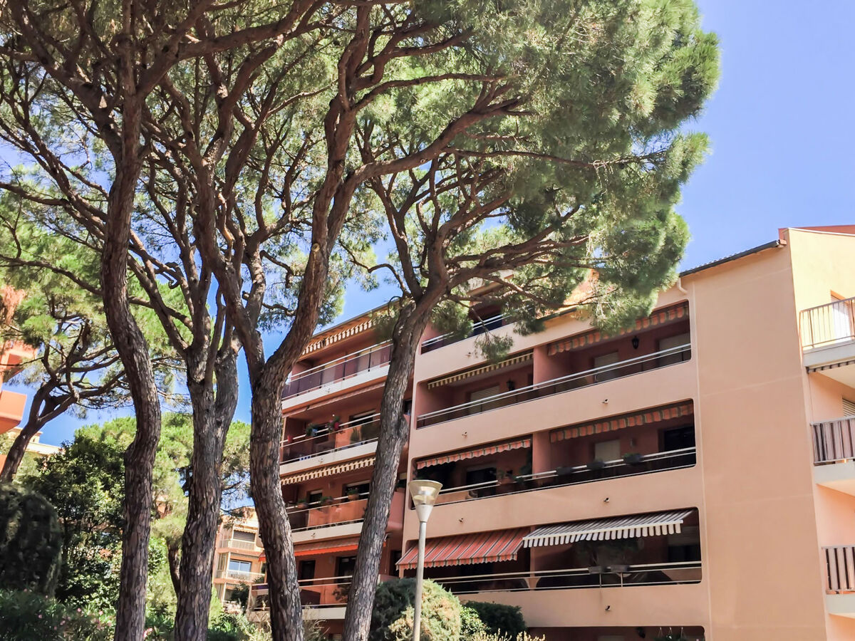 Les Pins Ensoleillés – Apt 2 pièces, balcon sud, vue mer - Photo 2