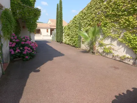 Le Petit Olivier - Maison provençale 300 m de la mer - Photo 25
