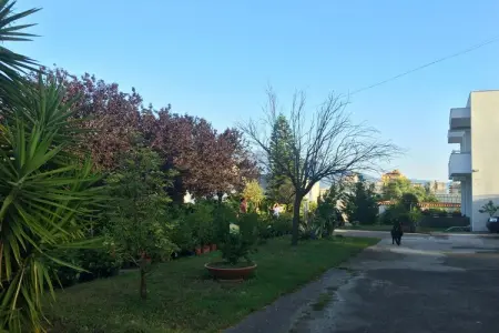 Maison Menotti au pied du Vésuve, Trecase : photo 11