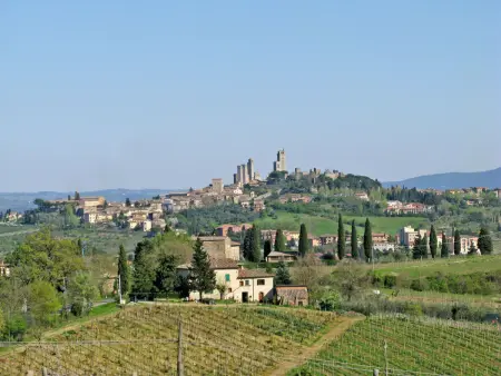 Appartement Le Sodole - Petunia, ferme toscane près de San Gimignano - Photo 40