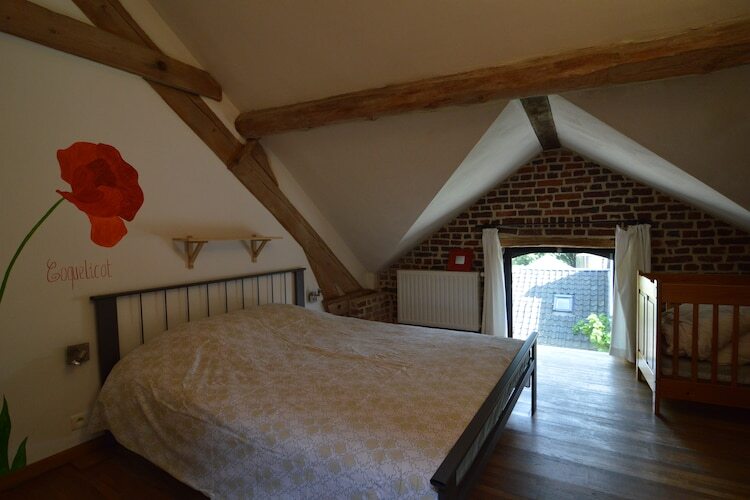 Schuur : maison 24 pers. dans une ferme active - Photo 4