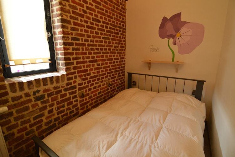 Schuur : maison 24 pers. dans une ferme active - Photo 20