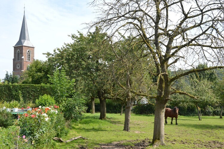 Schuur : maison 24 pers. dans une ferme active - Photo 35