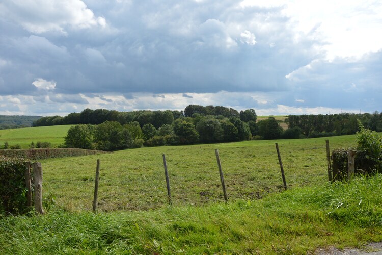 Schuur : maison 24 pers. dans une ferme active - Photo 36