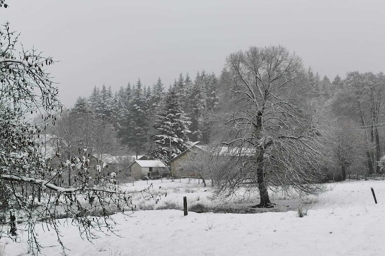 La Maison de Célestin, maison 9 pers. en forêt - Photo 33