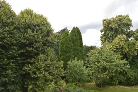 De Wever, maison 4 chambres à Glabbeek : photo 32
