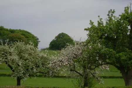 De Wever, maison 4 chambres à Glabbeek : photo 33
