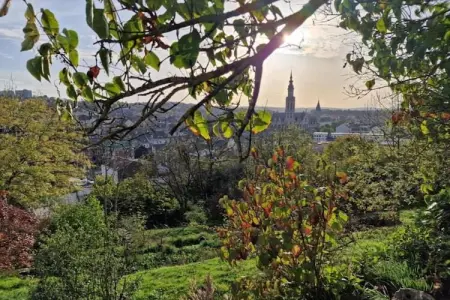 De Wever, maison 4 chambres à Glabbeek : photo 35