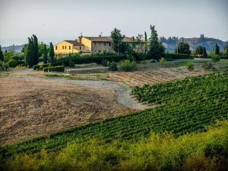 Gîte Podere La Torre – 5 pers., piscine et vue panoramique : photo 25