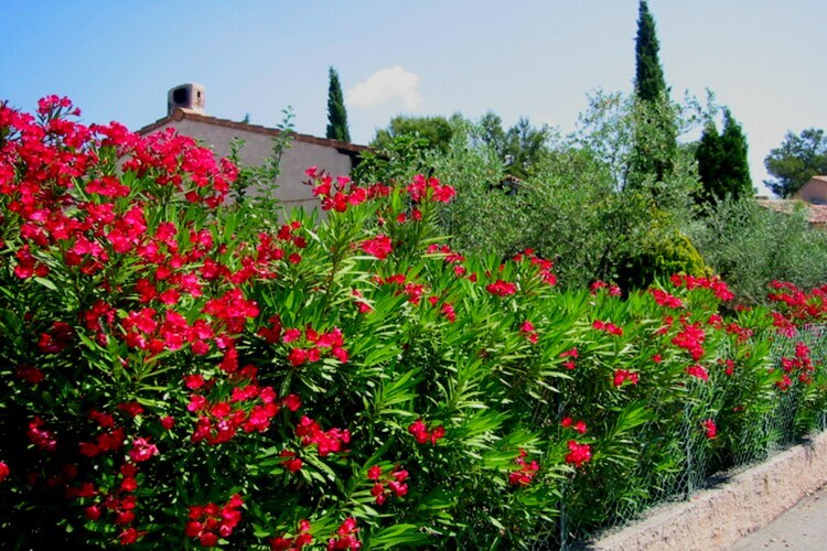 Villa Cigalières - Piscine et jardin 1000 m² à Fréjus - Photo 40