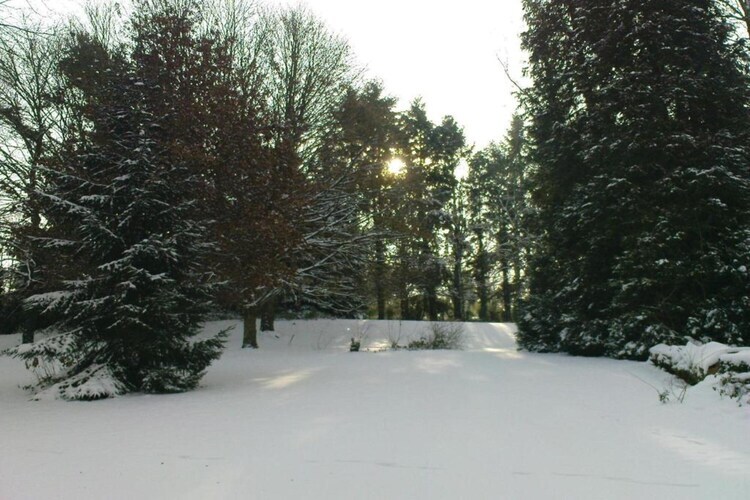 Maison L'Ecole en forêt limousine, 2 chambres - Photo 38