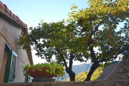 Casa del Pastore, Séjour paisible sur les collines ligures - Photo 9