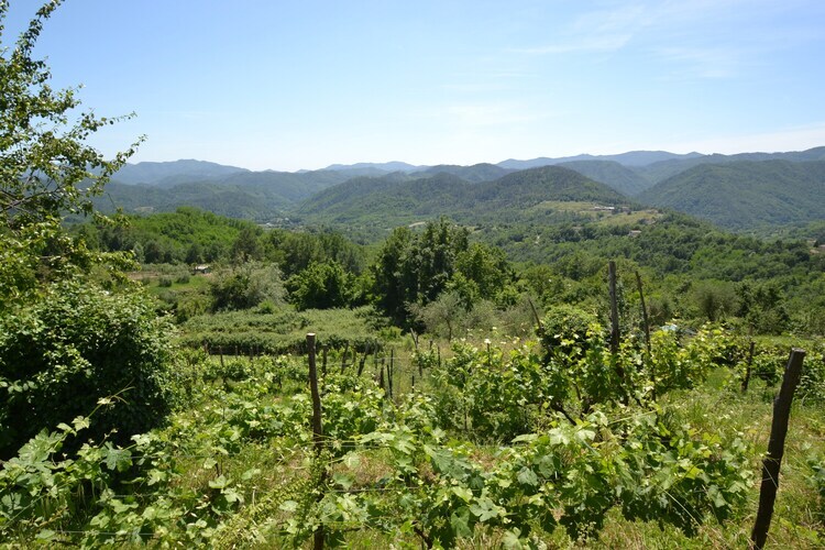 Maison Angie à Sesta Godano, terrasses et forêt - Photo 31
