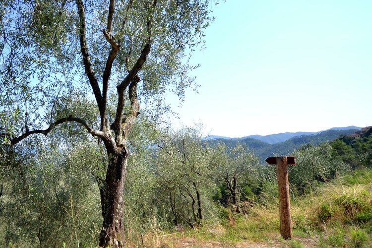 Maison Angie à Sesta Godano, terrasses et forêt - Photo 40