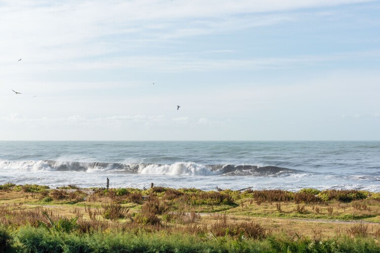 La Scogliera, maison 4 pers. à 100m de la mer - Photo 35