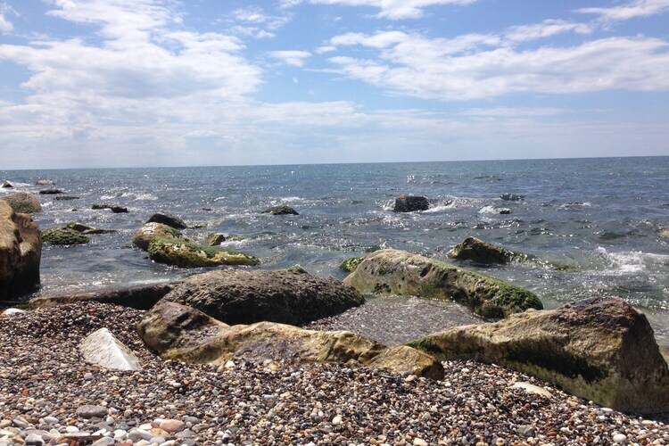 La Scogliera, maison 4 pers. à 100m de la mer - Photo 40