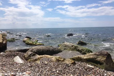 La Scogliera, maison 4 pers. à 100m de la mer : photo 40
