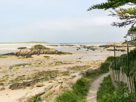 Va Zi Bihan - Maison 85 m² à 100 m de la mer : photo 23