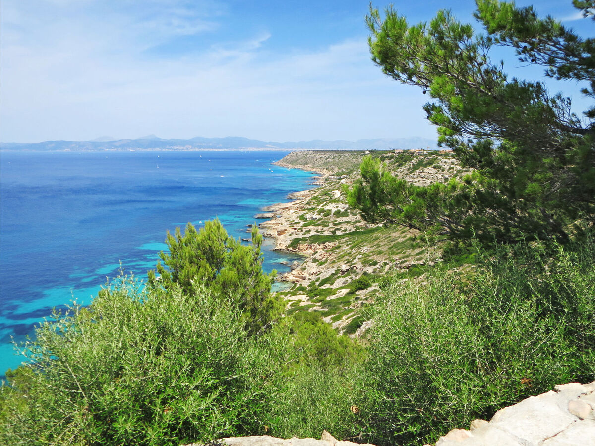 Maison Cap Blanc à Sa Torre – piscine et 200 m de la mer - Photo 32