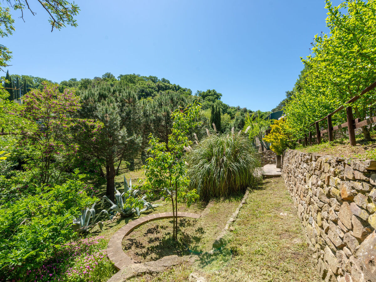 Maison Vittorio à Scansano, 2 étages avec vue panoramique - Photo 35