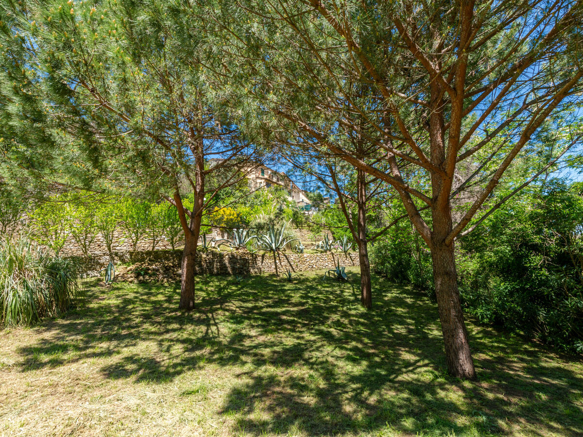Maison Vittorio à Scansano, 2 étages avec vue panoramique - Photo 39