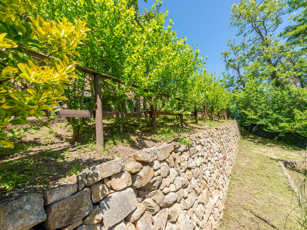 Maison Vittorio à Scansano, 2 étages avec vue panoramique - Photo 43