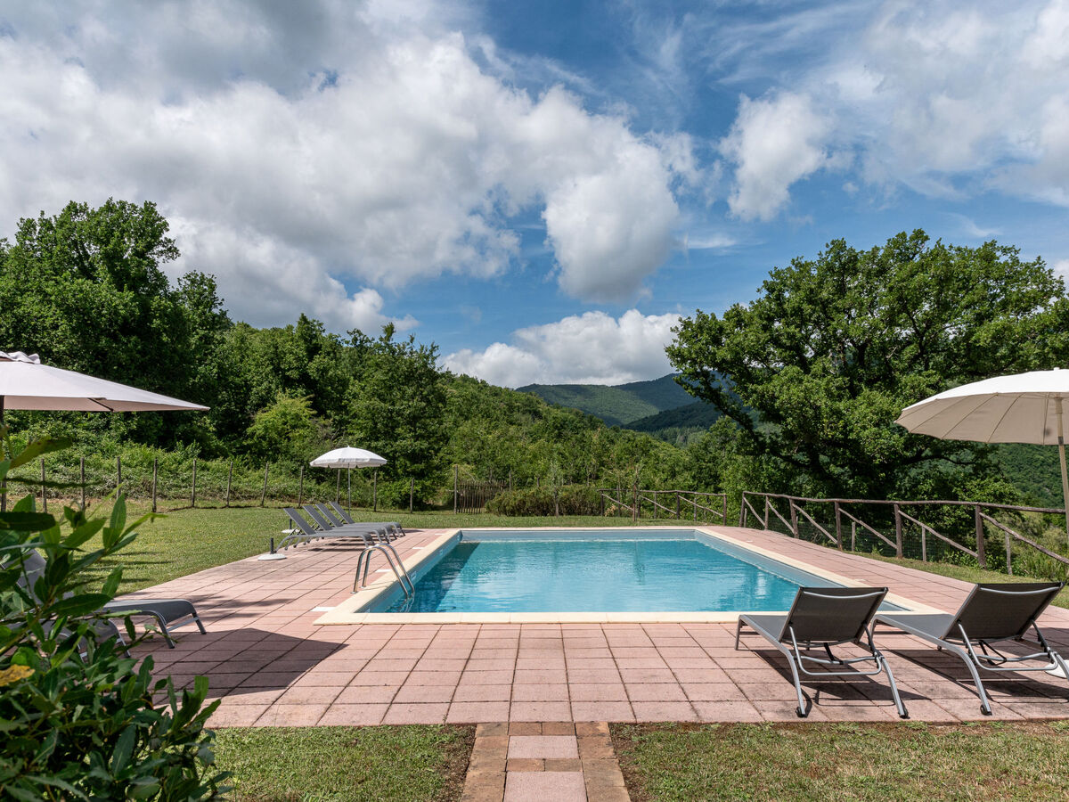 Gîte Belvedere à Travale, 6 pers., piscine commune - Photo 2