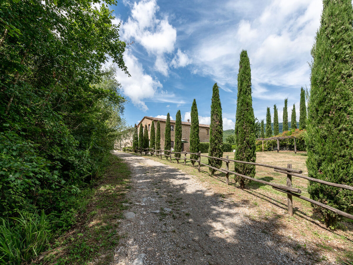 Gîte Belvedere à Travale, 6 pers., piscine commune - Photo 50