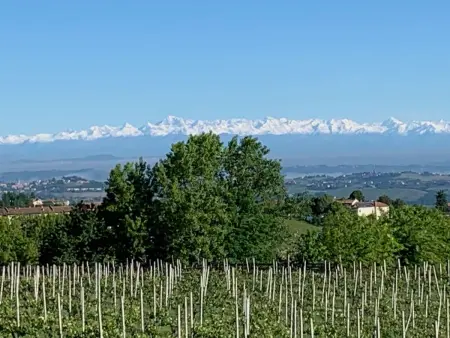 Cascina Vigne, Maison 4 personnes à Costigliole d'Asti - Photo 24
