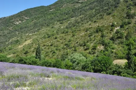 Villa médiévale Fayence, 3 chambres, vue panoramique : photo 27