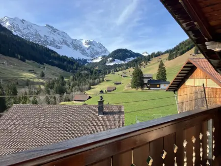 Gilbachhöckli 2, Appartement 7 personnes à Adelboden - Photo 19